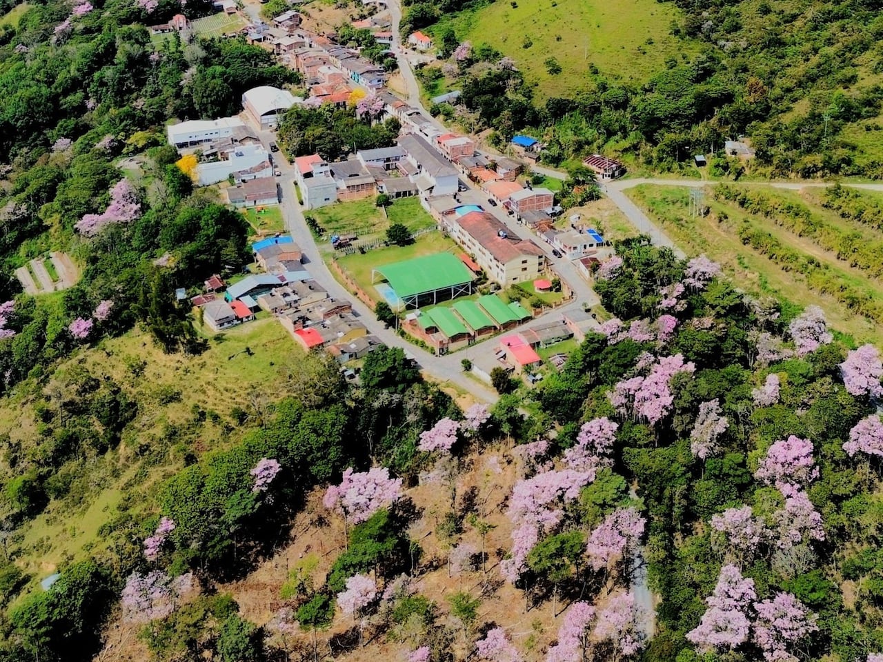 Colegios privados en Aguada Colegios privados en Aguada