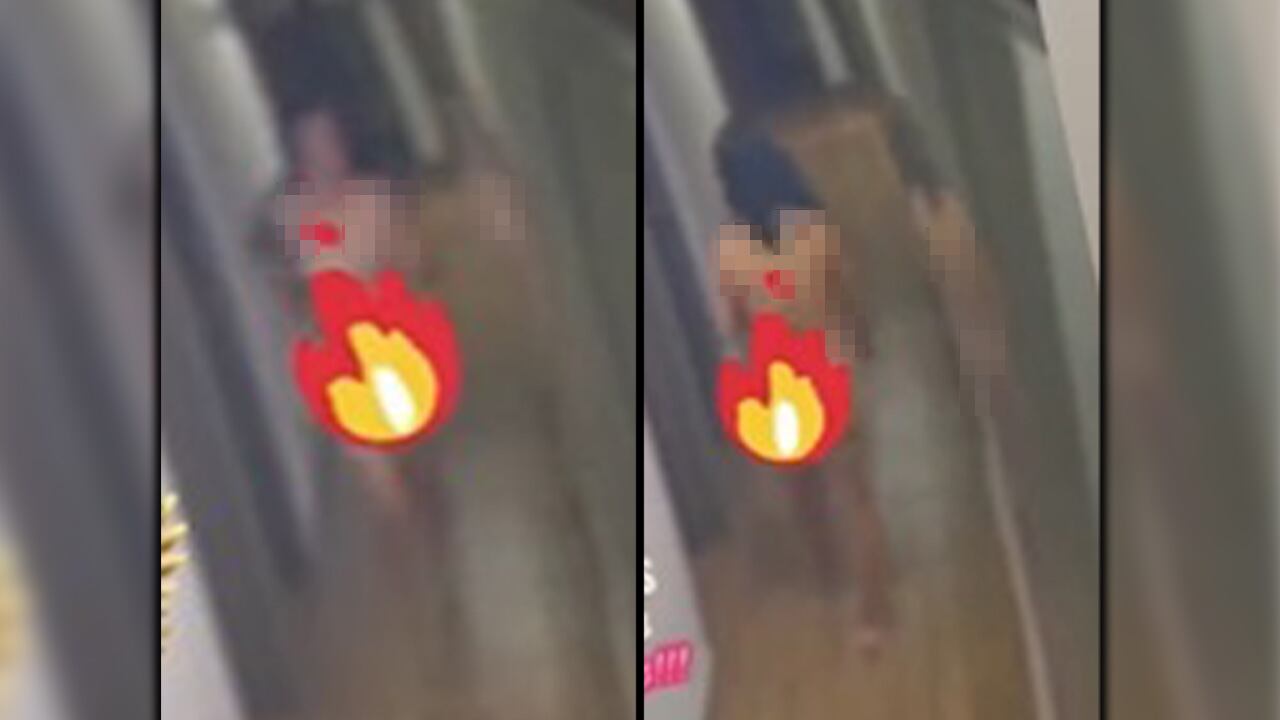 modelos web cam temblor el país