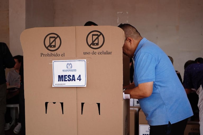 ELECCIONES 2026 MARZO 8