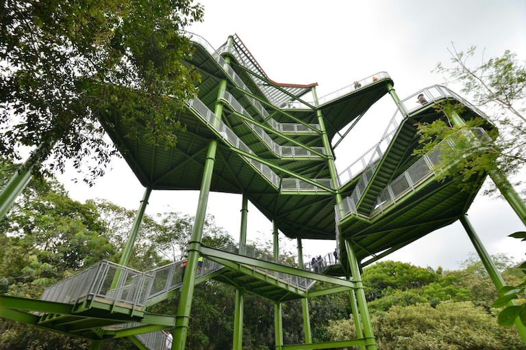 La CVC construyó torre de avistamiento de 30 metros y siete niveles en Pance.