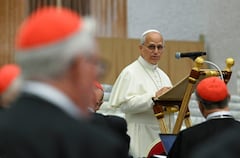 Al término del Ángelus, el papa León XIV reiteró su cercanía con Venezuela, tras ser afectada por dos violentos terremotos que ha causado, hasta ahora, más de 1400 víctimas. El Pontífice elevó sus oraciones por los fallecidos, renovó su cercanía espiritual a los familiares, al tiempo que agradeció y alentó a quienes trabajan con generosidad en las labores de búsqueda y de asistencia.