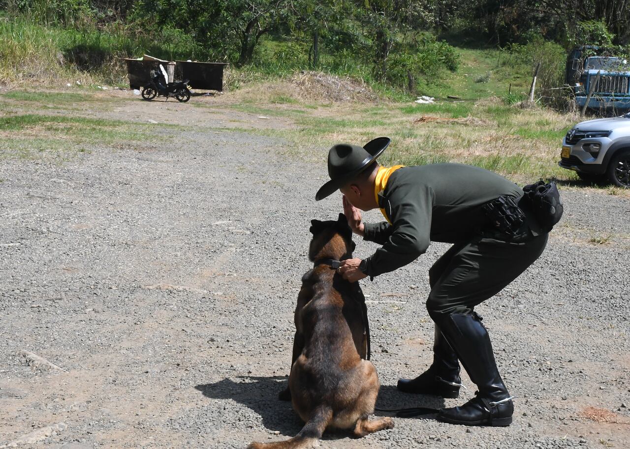 Cali: Grupo Antiexplosivo de la Policia metropolitana.