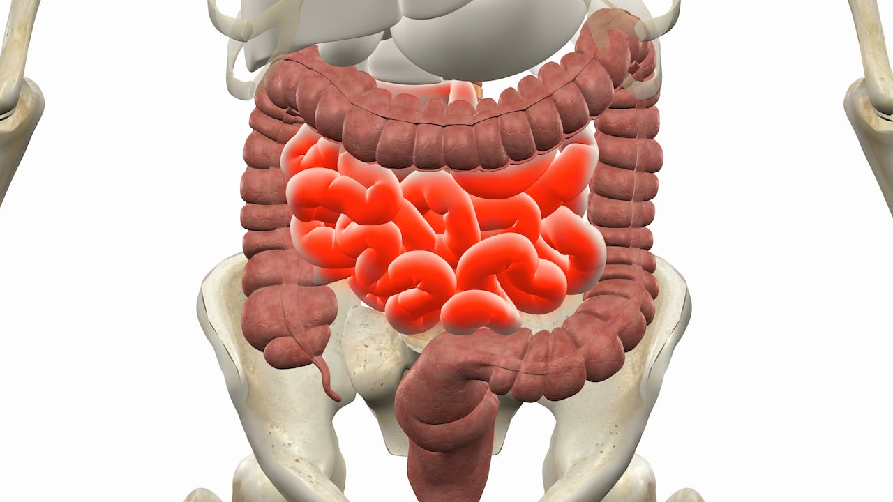 ¿Cómo tener una buena digestión y un tránsito intestinal adecuado?