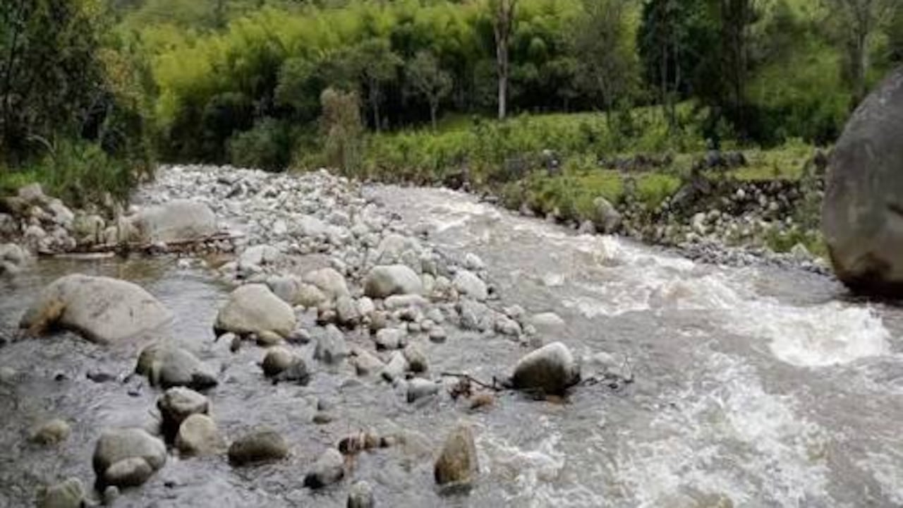 La CVC impuso una medida preventiva que ordena a Refinal S.A.S. suspender las descargas de aguas residuales hacia una subderivación del río Fraile.