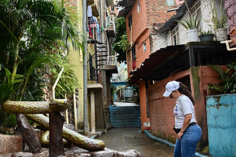 Siloé, en la Comuna 20 de Cali, se ha transformado en un vibrante destino de turismo comunitario, destacando por sus miradores panorámicos (Buena Vista, La Estrella), recorridos en MIO Cable, arte urbano, muralismo y experiencias de café local. Rutas organizadas ofrecen inmersión en la cultura popular, historia de superación y salsa