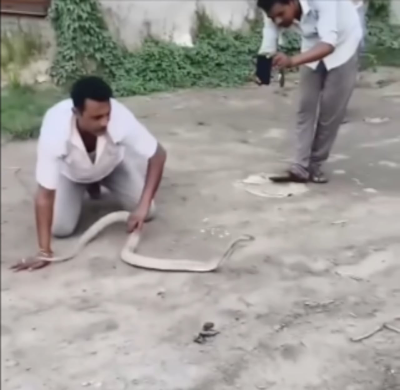 Otros ciudadanos grabaron los últimos minutos de vida de esta hombre.