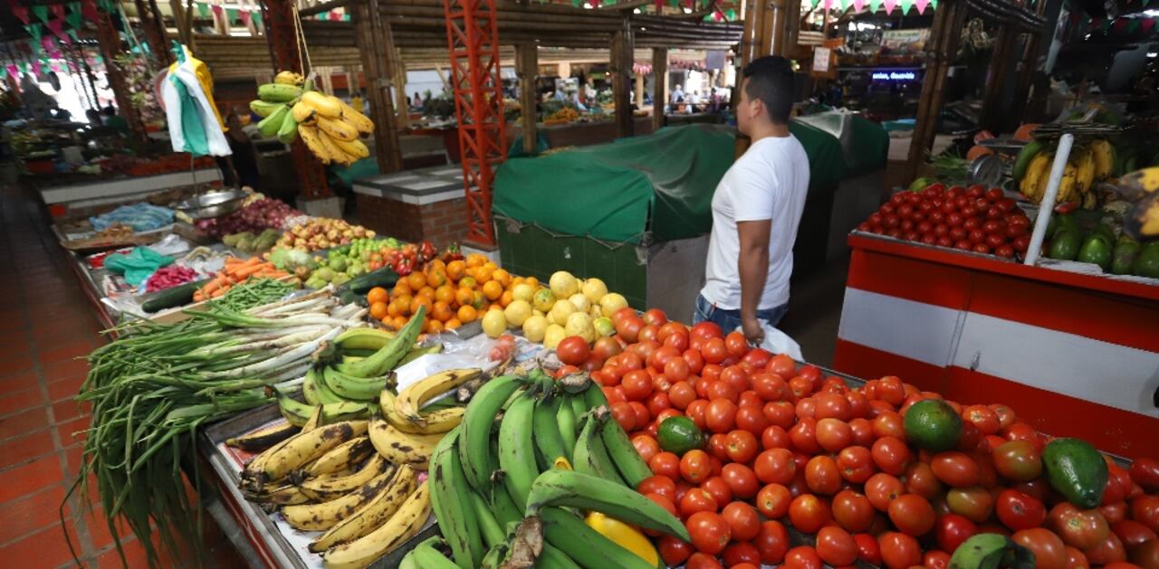 Los datos del boletín, basados en el SIPSA y el DANE, revelan aumentos destacados en la disponibilidad de granos, cereales, alimentos procesados, lácteos y huevos, contribuyendo así a fortalecer la oferta alimentaria en Colombia.