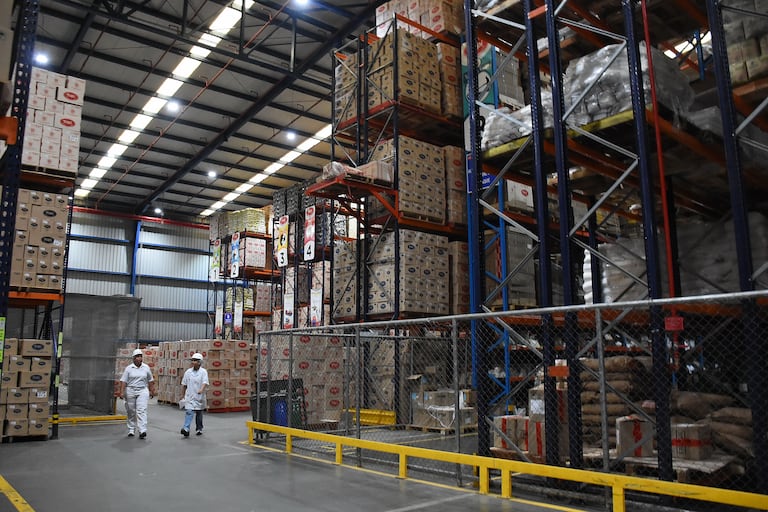 Visita Planta Yupi