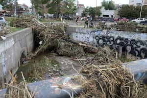 A fallen tree is pictured at Maldonado's creek the day after a heavy storm in Bahia Blanca, 600 km south of Buenos Aires on March 8, 2025. At least ten people died and more than 1,000 were evacuated in the Argentine port city of Bahia Blanca as torrential rains flooded homes and hospitals, destroyed roads and forced authorities to cut the power. (Photo by PABLO PRESTI / AFP)