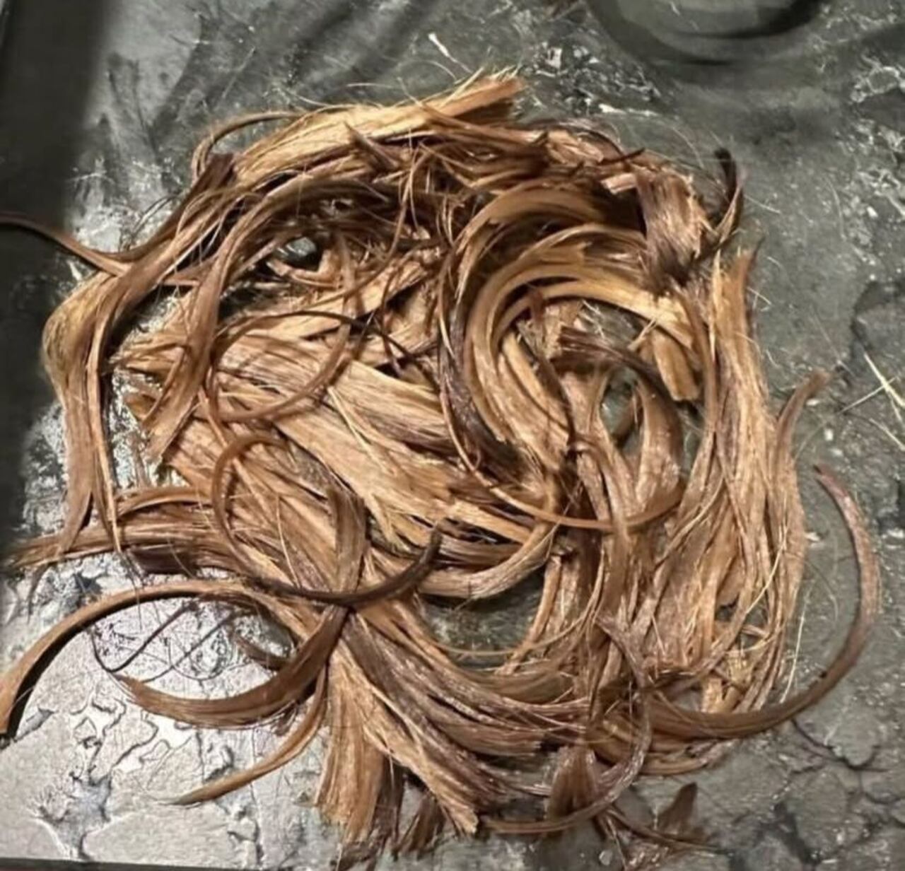 Karol G mostró cómo cortó su cabello.