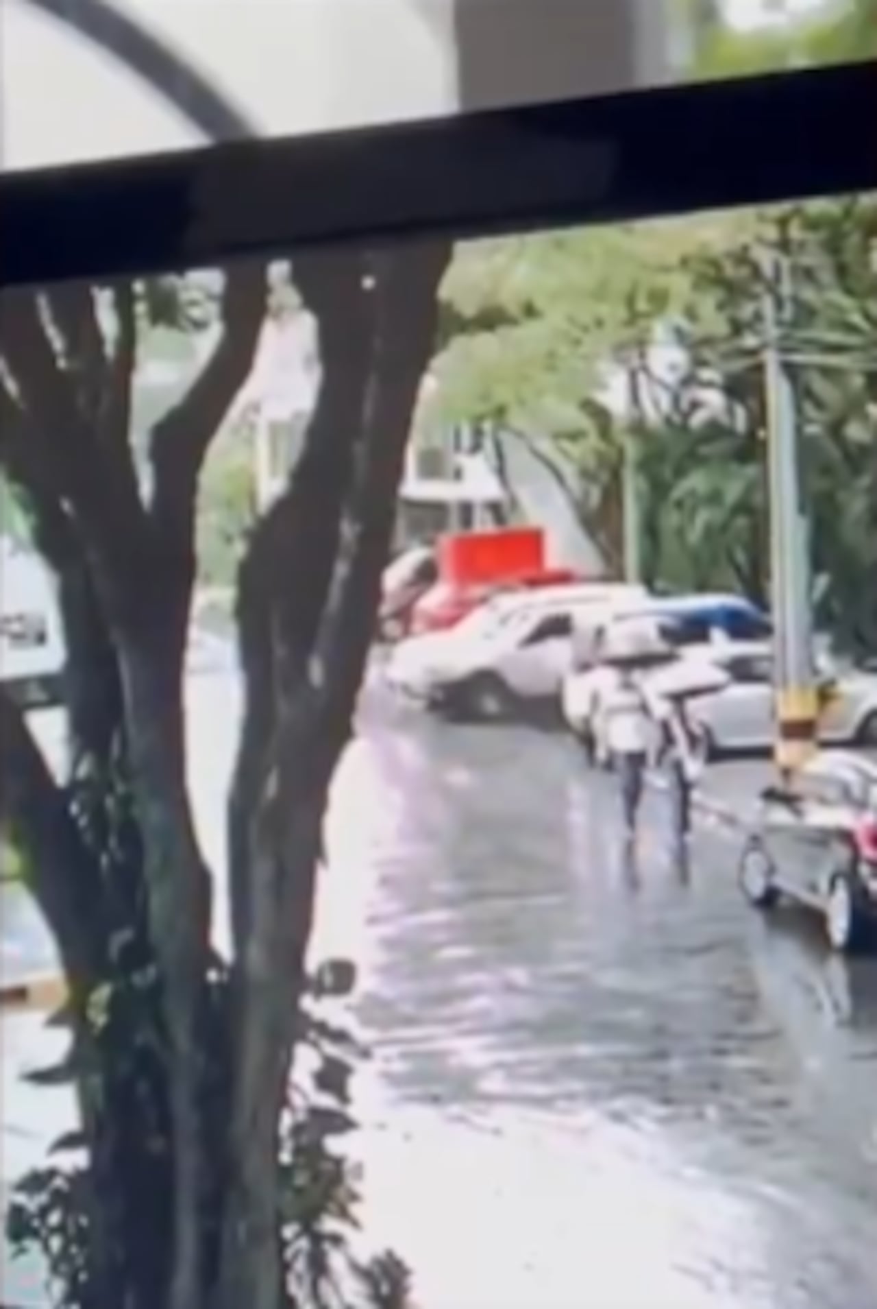 La camioneta estaba parqueada en inmediaciones de un conjunto cerrado cerca al Centro Comercial Palmetto.