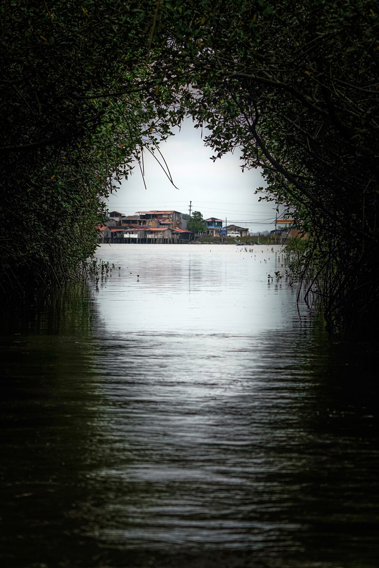 Tumaco se ha convertido en una vitrina para visibilizar el turismo comunitario con actividades económicas viable en el Municipio, con sus paisajes costeros y su tradición culinaria, resultado de sus raíces afrocolombianas e indígenas que hoy muestran al mundo.
