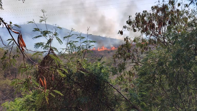 Incendio forestal Altos de Menga.