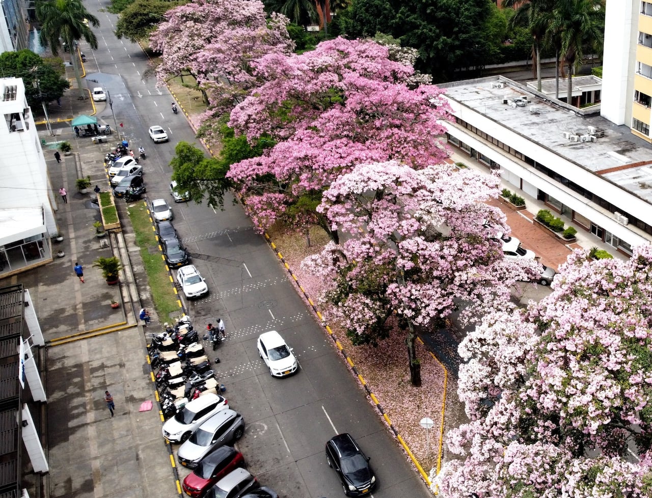 Cumpleaños de Cali