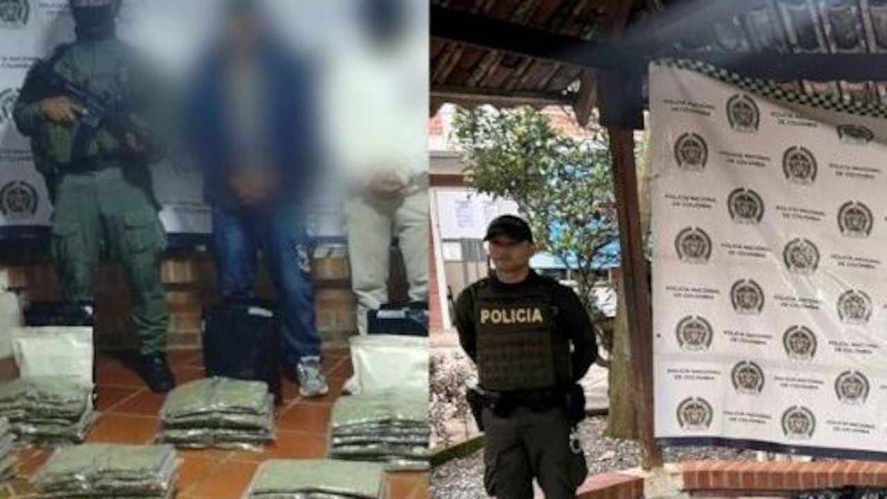 En dos procedimientos de control distintos, la Policía incautó cargamentos de marihuana creepy, afectando así las finanzas de los grupos armados ilegales que se benefician del narcotráfico.