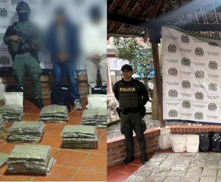 En dos procedimientos de control distintos, la Policía incautó cargamentos de marihuana creepy, afectando así las finanzas de los grupos armados ilegales que se benefician del narcotráfico.