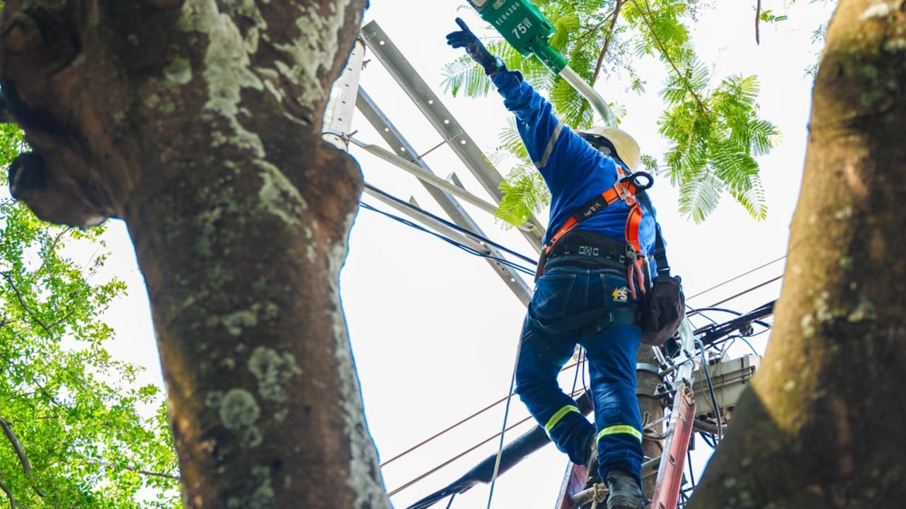 Cortes de luz y agua para este viernes 28 de noviembre; esto es lo que debe saber.