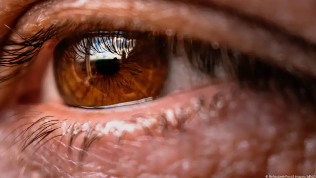 Cinco personas han sido testigos de una experiencia única: ver un tono fuera del espectro cromático natural.