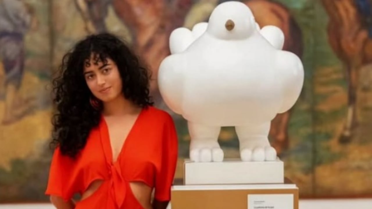 Sofía Petro ha cursado su formación académica en instituciones de educación superior en Francia.