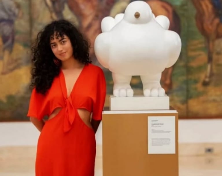 Sofía Petro ha cursado su formación académica en instituciones de educación superior en Francia.
