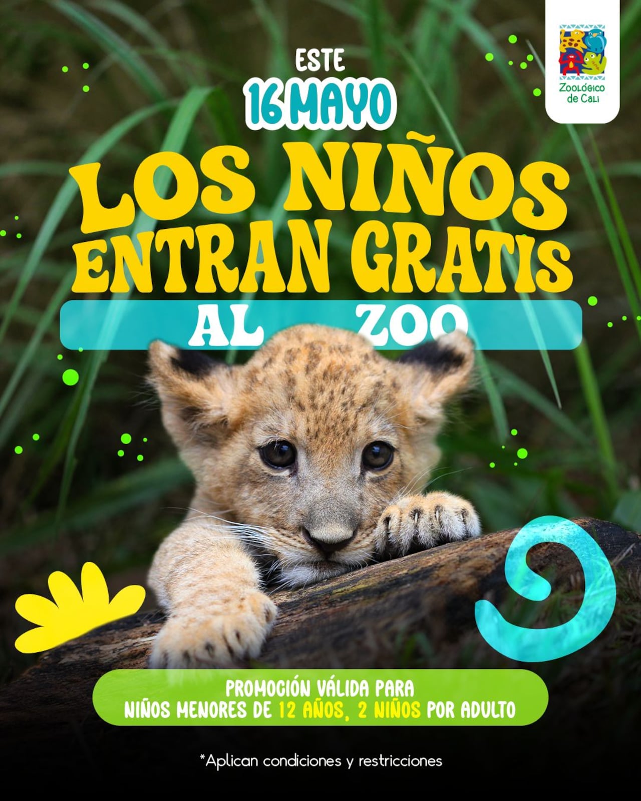 Solamente pueden entrar de forma gratuita los niños menores de 12 años.