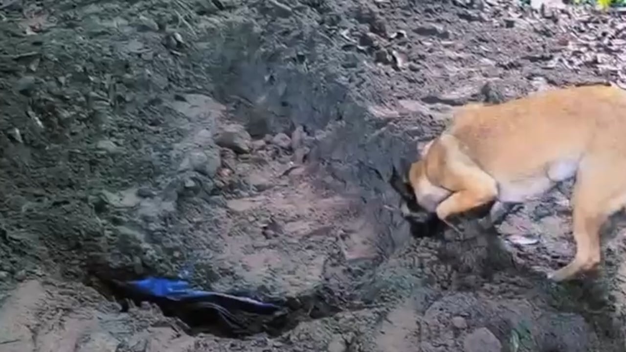 Encuentra enterrado cargamento de cocaína