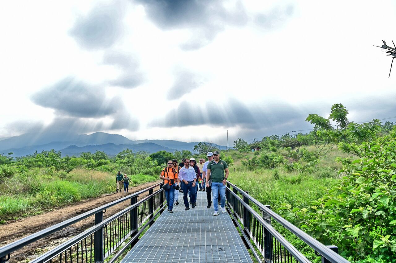 Parque Ambiental Corazón de Pance, Fotos Wirman Rios, Junio 25 de 2024, EL PAIS