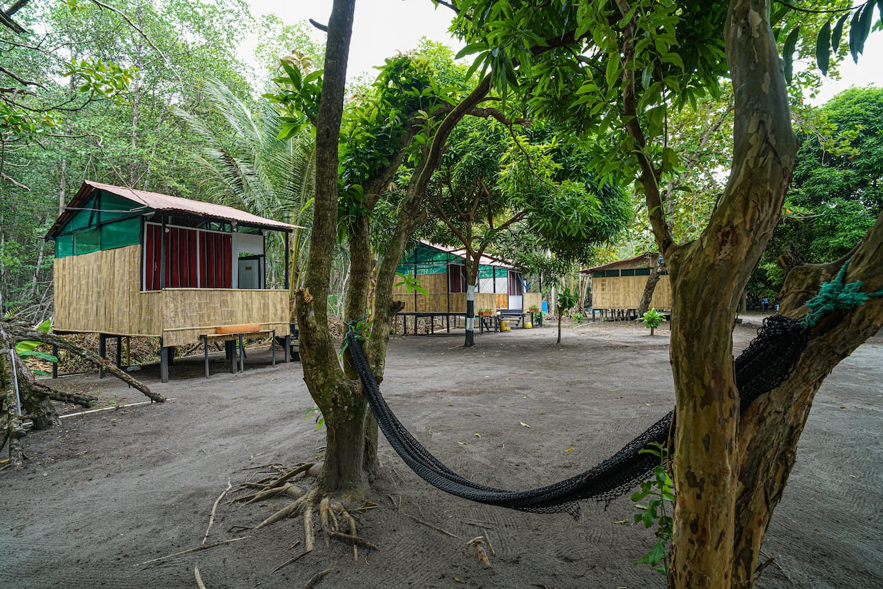 Tumaco se ha convertido en una vitrina para visibilizar el turismo comunitario con actividades económicas viable en el Municipio, con sus paisajes costeros y su tradición culinaria, resultado de sus raíces afrocolombianas e indígenas que hoy muestran al mundo.