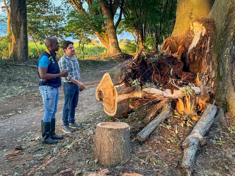 Caída de árboles, inundaciones, daños en techos y cortes de energía fueron algunas de las emergencias atendidas por los organismos de respuesta.