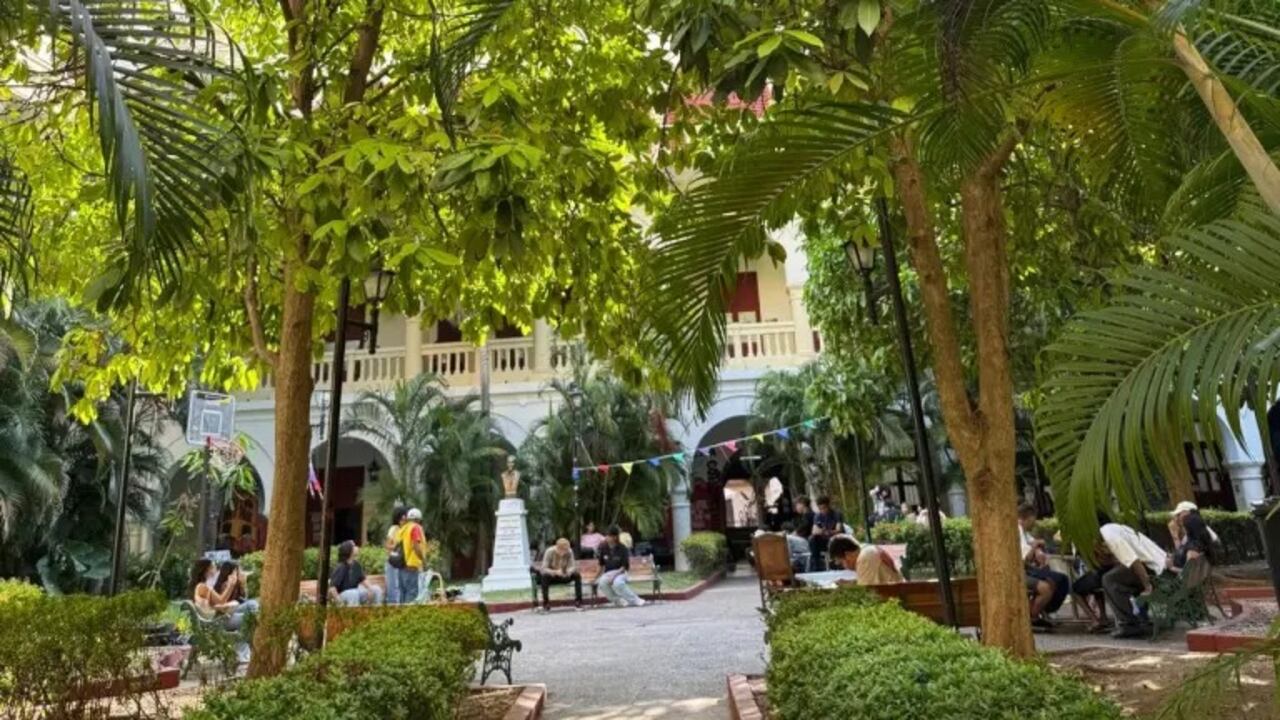 El hecho involucra a un docente de la Facultad de Odontología.