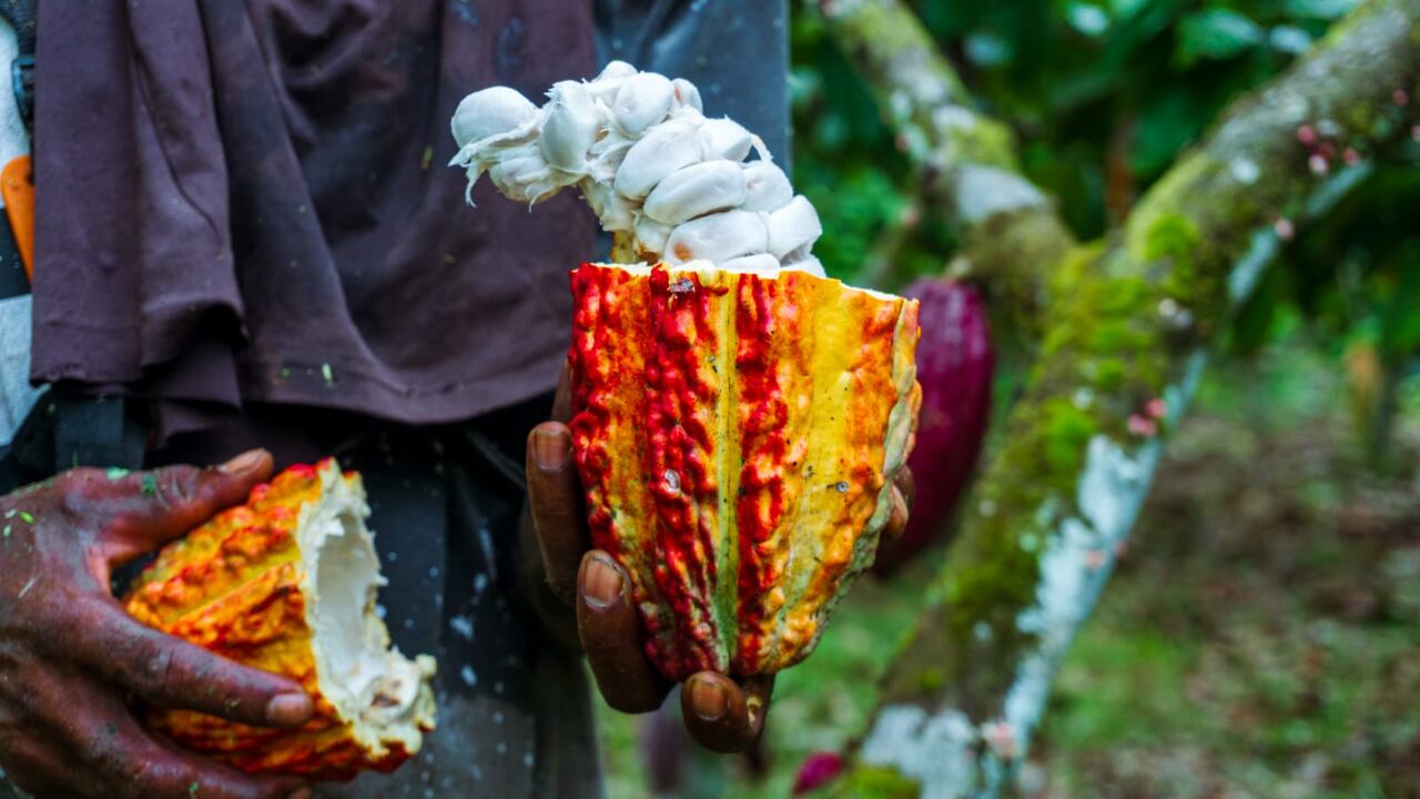 Entidad vallecaucana apoyará a más de 200 organizaciones colombianas.