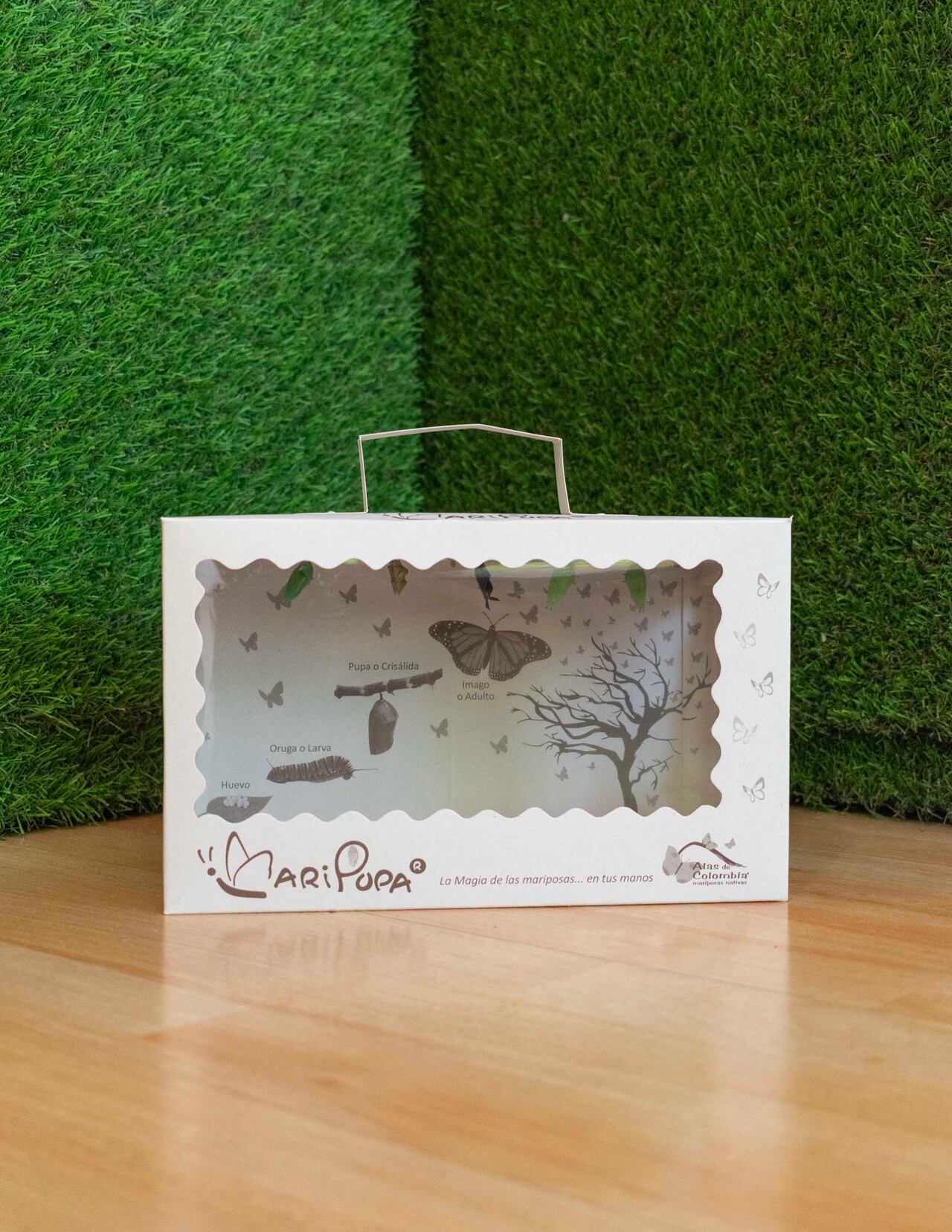 La fundadora de Alas de Colombia sostiene el trofeo del Premio CorfiSostenible, entregado en Bogotá en la categoría Biodiversidad y Medio Ambiente.