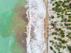 Palomino es de las experiencias turísticas más contemplativas del Caribe colombiano.