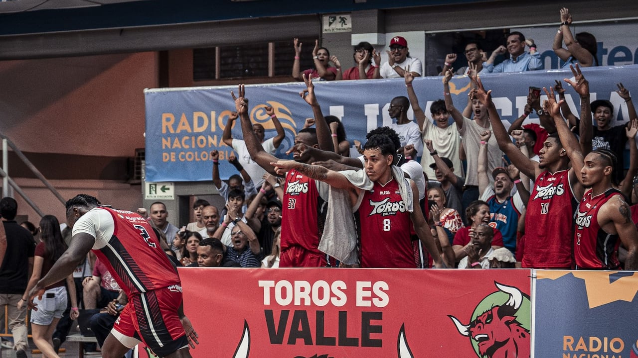 Toros del Valle