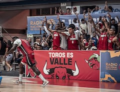 Toros del Valle