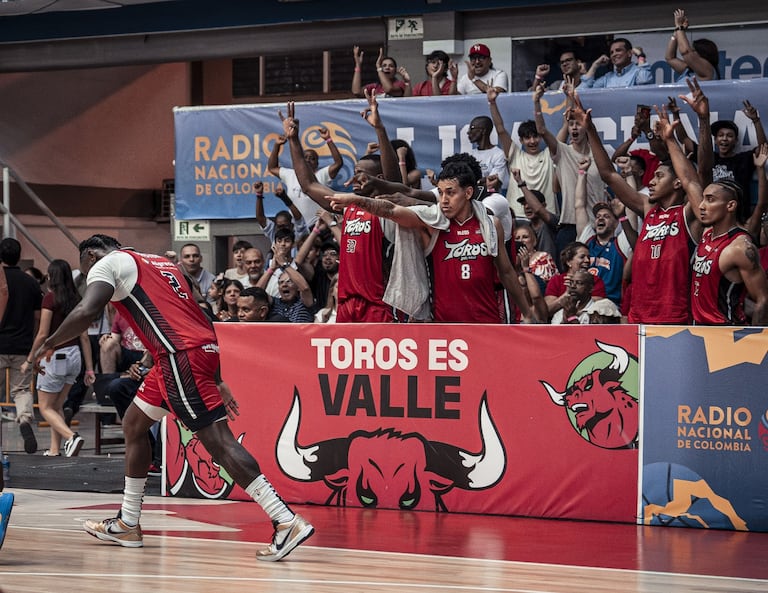 Toros del Valle