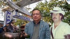 Del Magdalena Medio a la India: el plan para trasladar a los hipopótamos de Escobar.