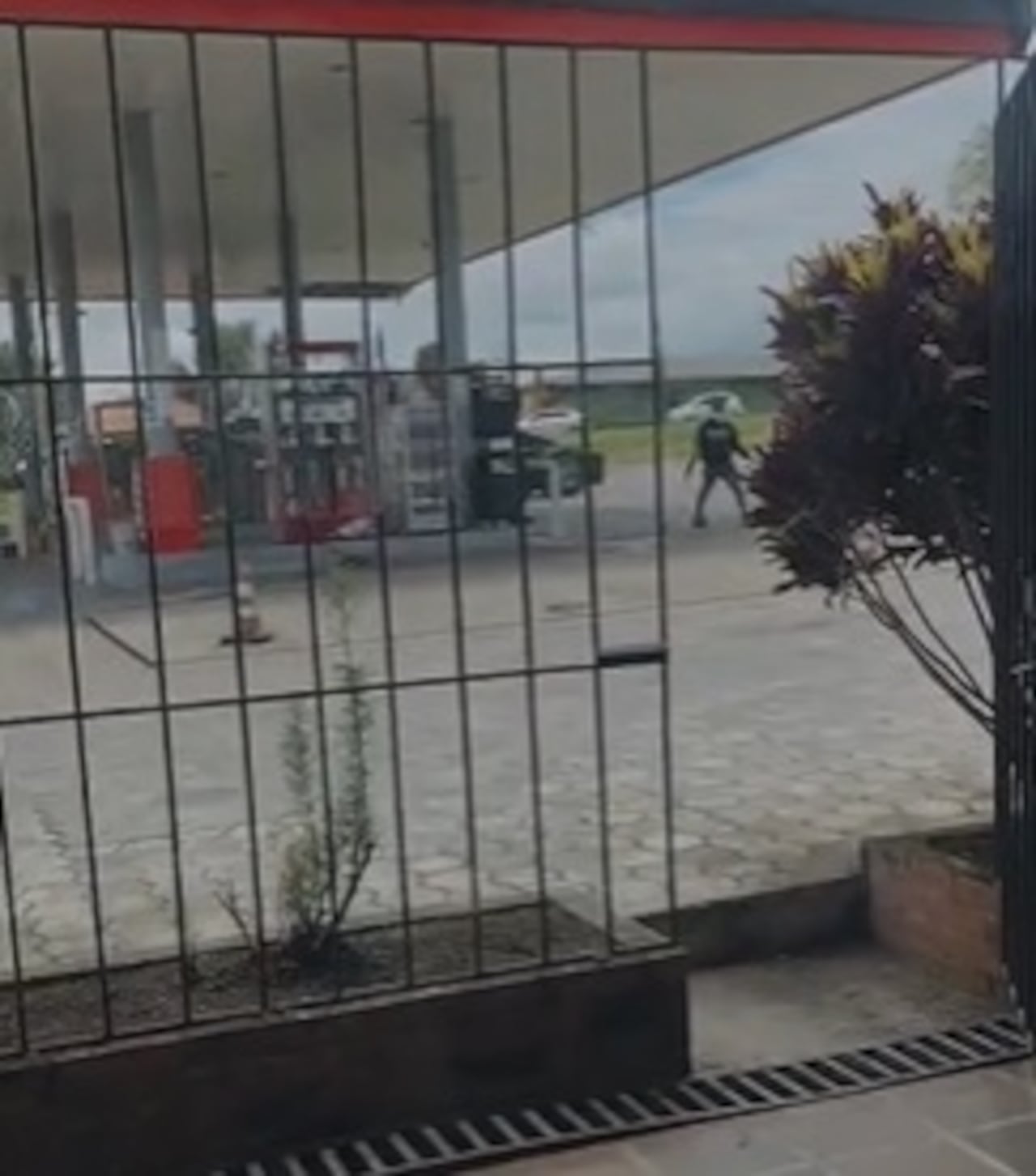 Conductores detuvieron su marcha tras presenciar el ataque y difundieron videos donde se observan disparos y el intento de quemar vehículos en la zona.