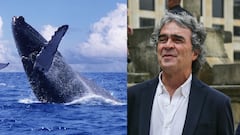 Sergio Fajardo asegura no irá a ver ballenas como en 2018 y que llegará a segunda vuelta con Iván Cepeda o Abelardo de la Espriella.
