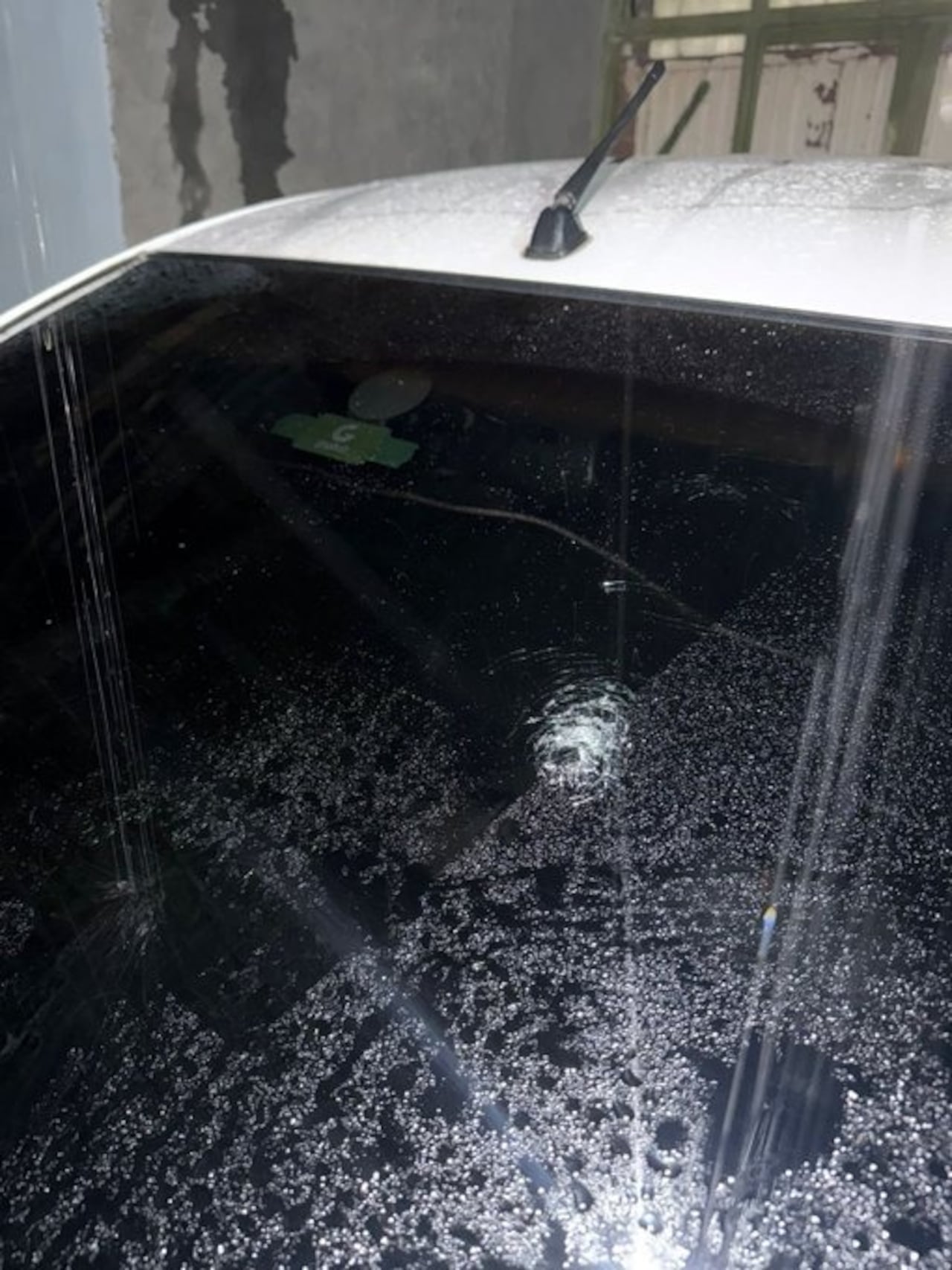 Piden investigación urgente tras presunto atentado contra concejal de Candelaria.