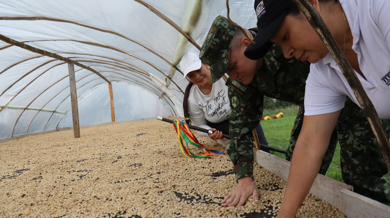 La iniciativa busca promover la sustitución voluntaria de cultivos de uso ilícito y fortalecer la caficultura como una alternativa sostenible para impulsar el desarrollo y la economía rural en el departamento del Cauca.