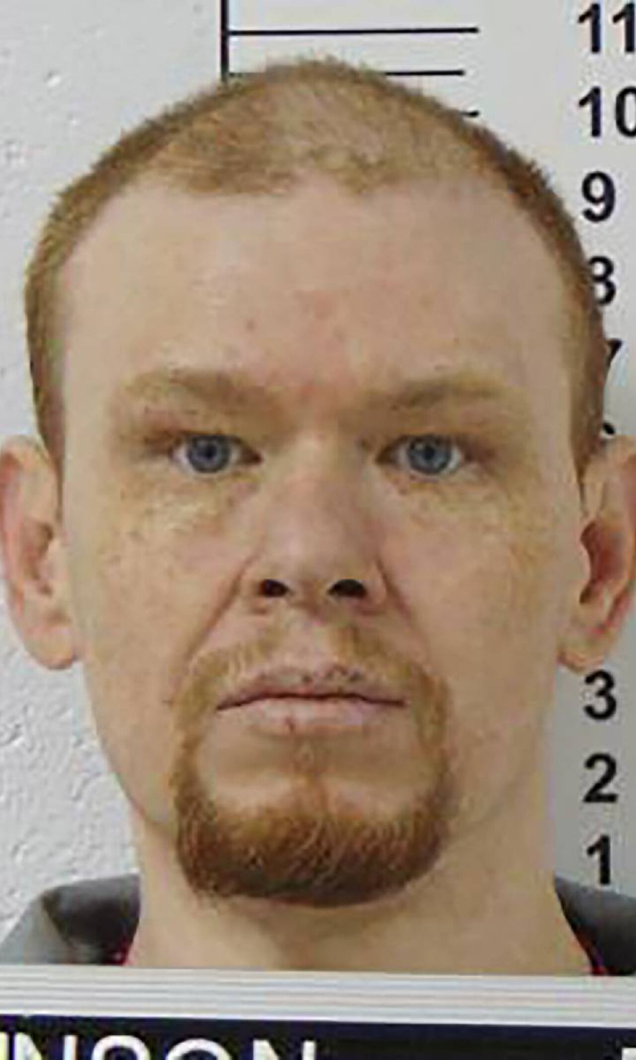 Los abogados de Johnson luego presentaron apelaciones ante la Corte Suprema de EE. UU. centradas en su competencia para ser ejecutado.