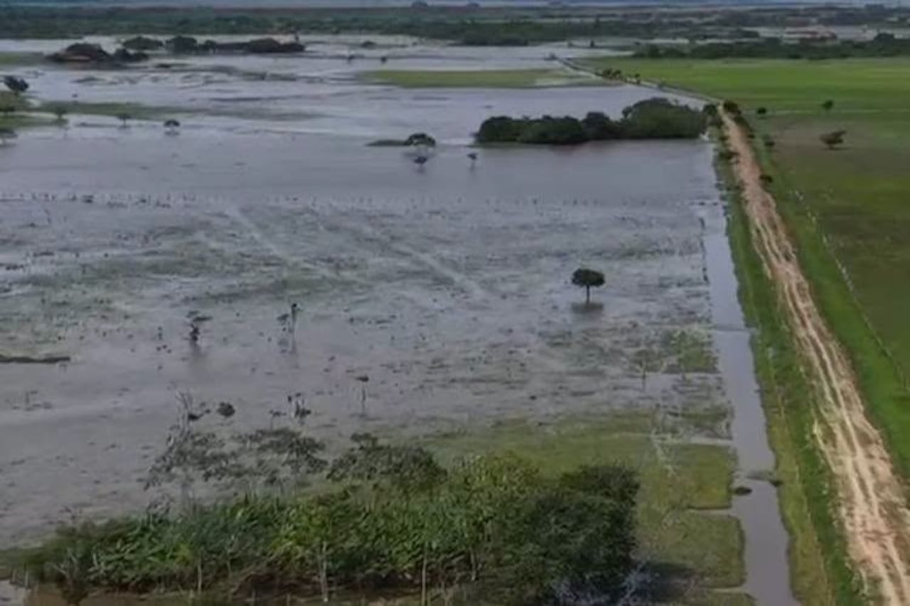 Ante la magnitud de la emergencia, el Consejo Departamental de Gestión del Riesgo de Arauca aprobó la declaratoria de calamidad pública. Según la UNGRD, los municipios más afectados son Arauquita, Saravena y Tame, donde el aumento de los caudales ha provocado inundaciones que afectan a miles de personas y mantienen bajo presión la capacidad de respuesta de las autoridades.