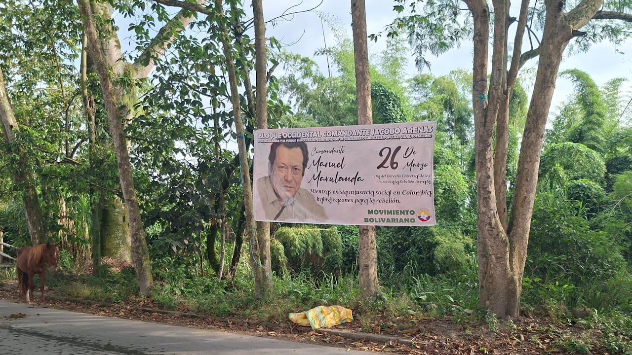Las disidencias de las Farc, en el Cauca, están en abierta confrontación con la fuerza pública.