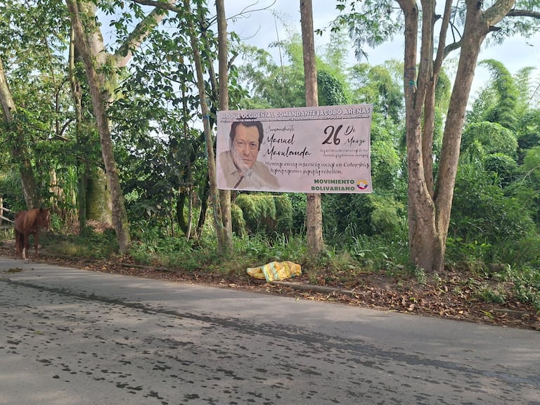 Las disidencias de las Farc, en el Cauca, están en abierta confrontación con la fuerza pública.