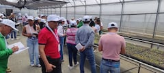 Productores caucanos exhiben frutos de mango, piña, aguacate Hass y lima ácida Tahití, catalogados como de alta demanda en mercados europeos como el italiano, en el marco de la agenda de intercambio empresarial.