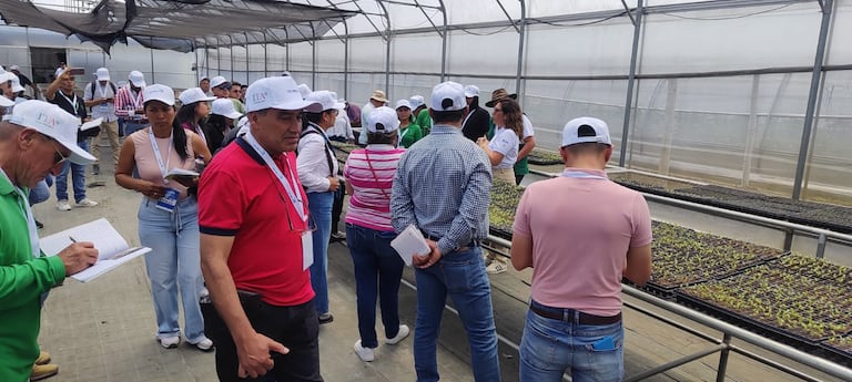 Productores caucanos exhiben frutos de mango, piña, aguacate Hass y lima ácida Tahití, catalogados como de alta demanda en mercados europeos como el italiano, en el marco de la agenda de intercambio empresarial.