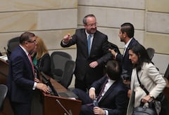 Plenaria del Senado debate de la Consulta Popular