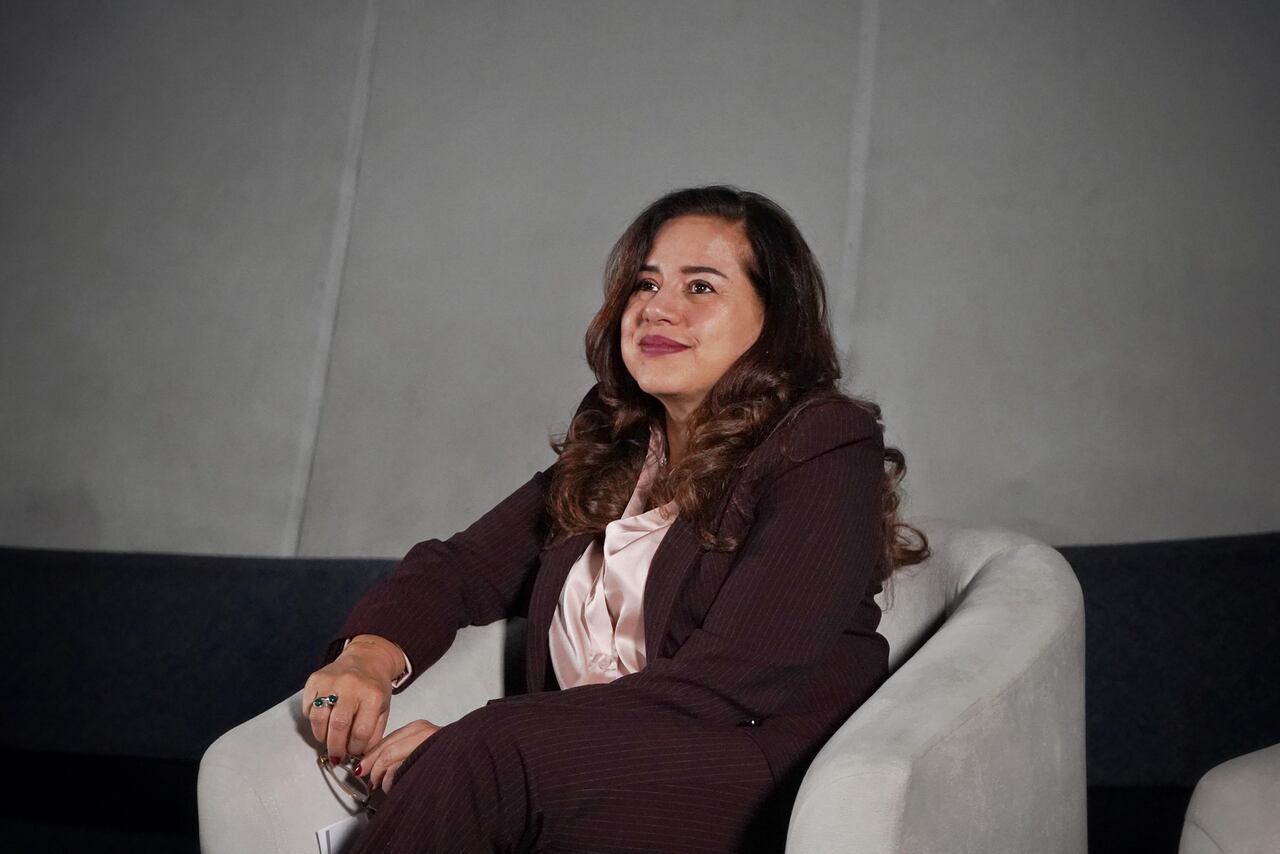 La directora de la ARN sostuvo que “no hay manera de avanzar en la transformación territorial si no paramos la guerra".