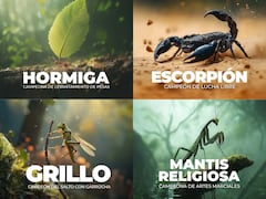 El Bando Creativo 2025